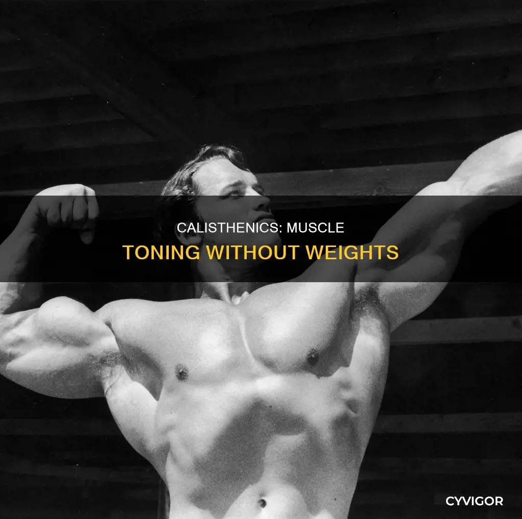 do calisthenics tone muscle