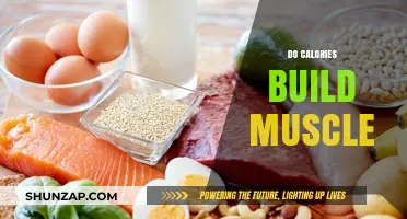 Fuel Your Gains: The Truth About Calories and Muscle Building