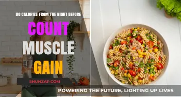 Do Nighttime Calories Impact Muscle Gain? Unraveling the Myth
