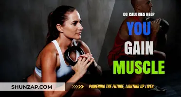 Calories and Muscle Gain: Fueling Growth or Just a Myth?