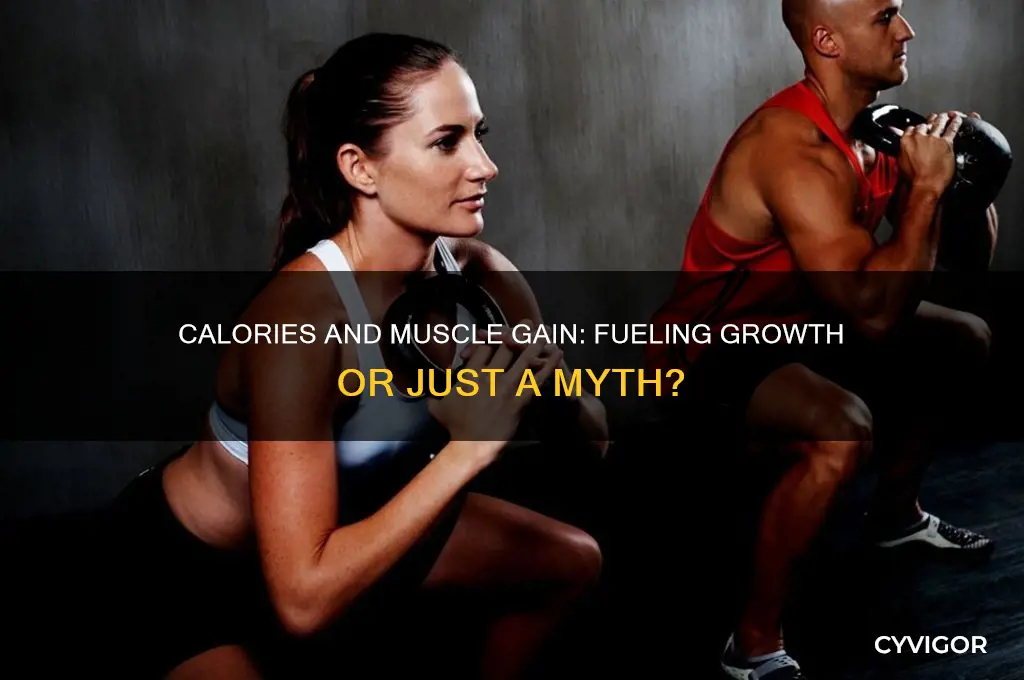 do calories help you gain muscle