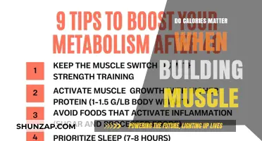 Calories and Muscle Building: The Essential Guide