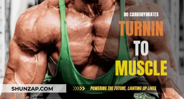 Carbohydrates: Fueling Muscles or Just a Myth?