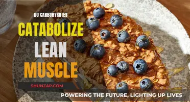Carbohydrates and Muscle Catabolism: What's the Real Deal?