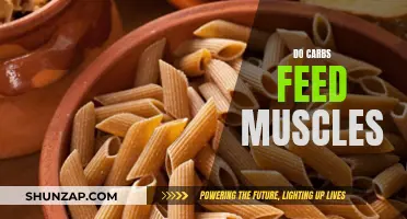 Carbs: Fueling Muscles or Fattening Lies?