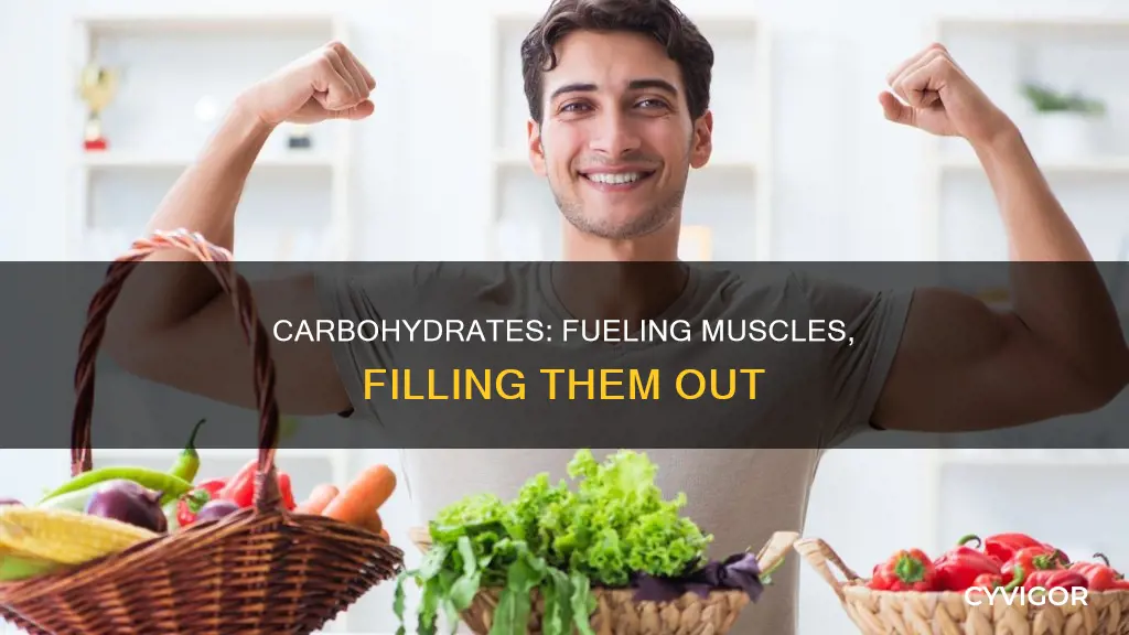 do carbs fill out muscles