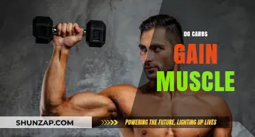 Carbs and Muscle Gain: Unlocking the Role of Carbohydrates