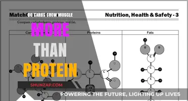 Carbs vs. Protein: Which Fuels Muscle Growth More Effectively?