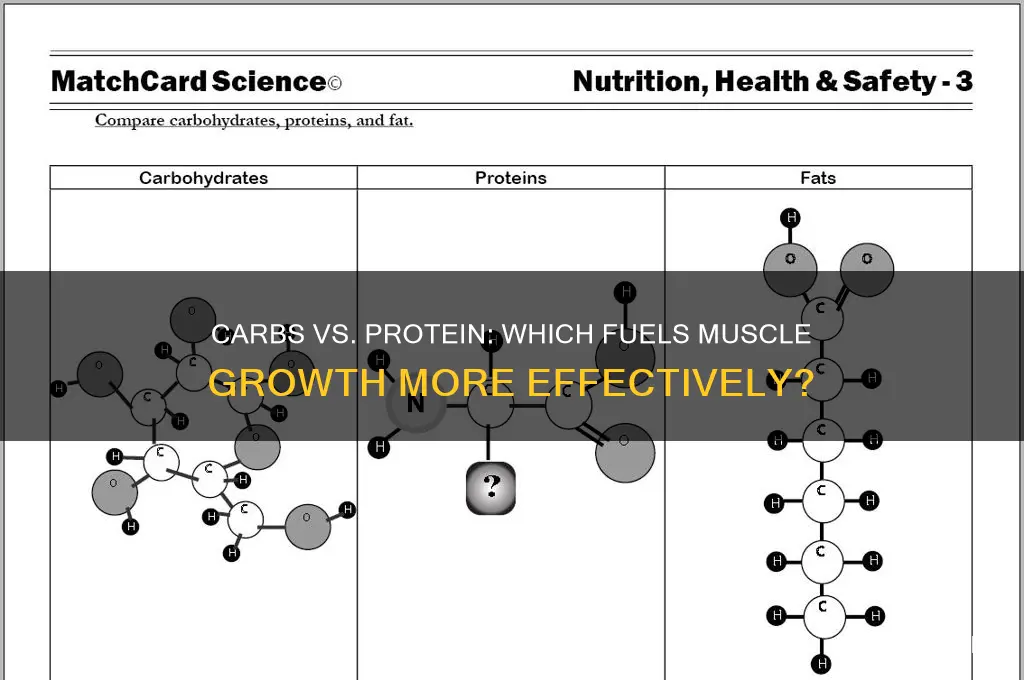do carbs grow muscle more than protein