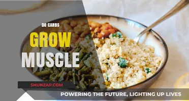 Carbs and Muscle Growth: Unlocking the Truth for Optimal Gains