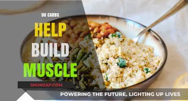 Fueling Your Gains: The Role of Carbs in Muscle Building