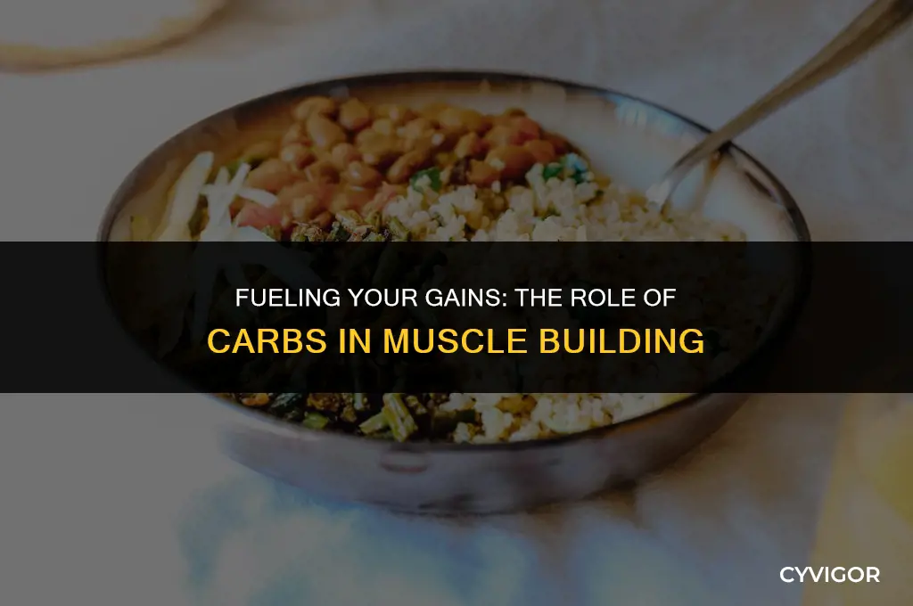 do carbs help build muscle