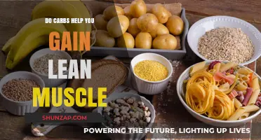 Carbs and Lean Muscle: Fueling Growth or Hindering Results?