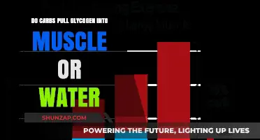 Carbs, Glycogen, and Water: Unraveling the Muscle Storage Mystery