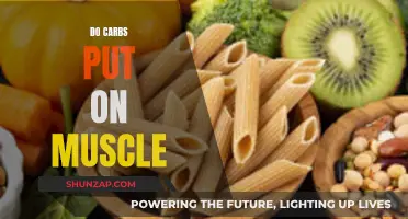 Carbs and Muscle Gain: The Truth About Carbs
