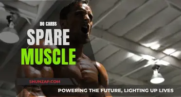 Carb Consumption: Muscle Sparing and Preservation