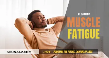 Cardiac Fatigue: The Heart's Muscles and Their Limits
