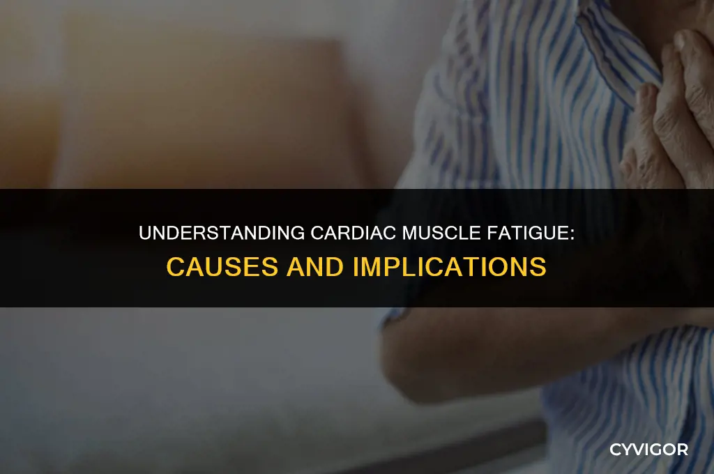 do cardiac muscle get fatigue