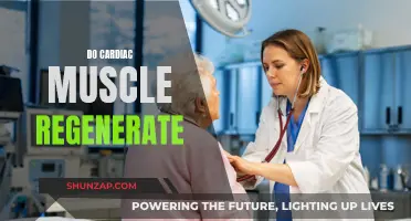 Exploring Cardiac Muscle Regeneration: Is It Possible?