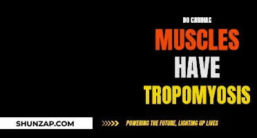 Tropomyosin in Cardiac Muscles: What's the Deal?