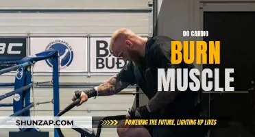 Does Cardio Burn Muscle? The Truth About Cardio and Muscle Mass