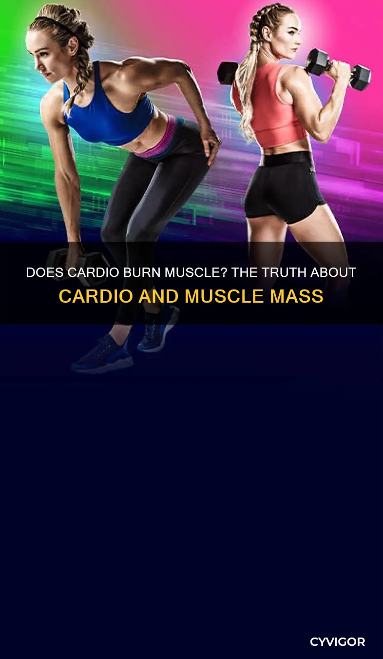 do cardio burn muscle