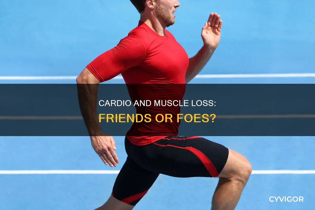 do cardio cause muscle loss