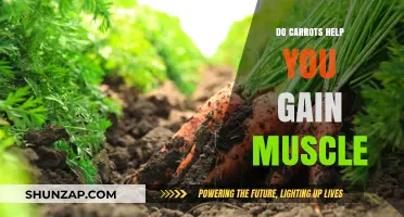 Can Carrots Boost Muscle Growth? Unveiling the Nutritional Truth