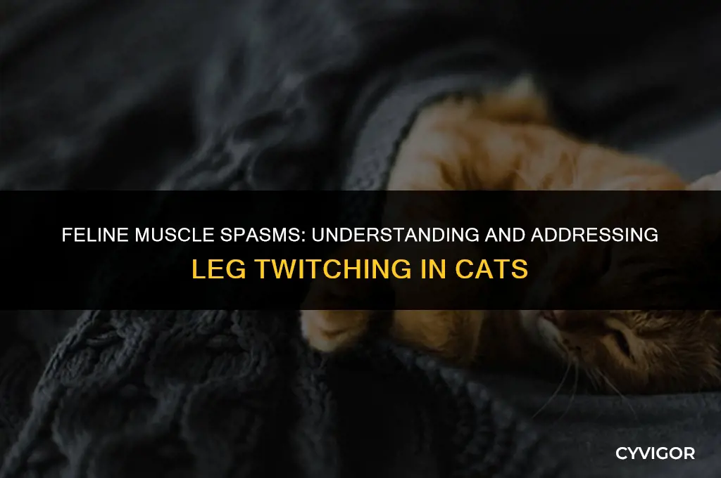 do cats get muscle spasms in their legs