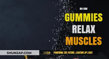 CBD Gummies for Muscle Relaxation: Do They Really Work?