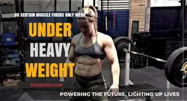 Heavy Weights and Muscle Fibers: Unlocking Their Exclusive Relationship