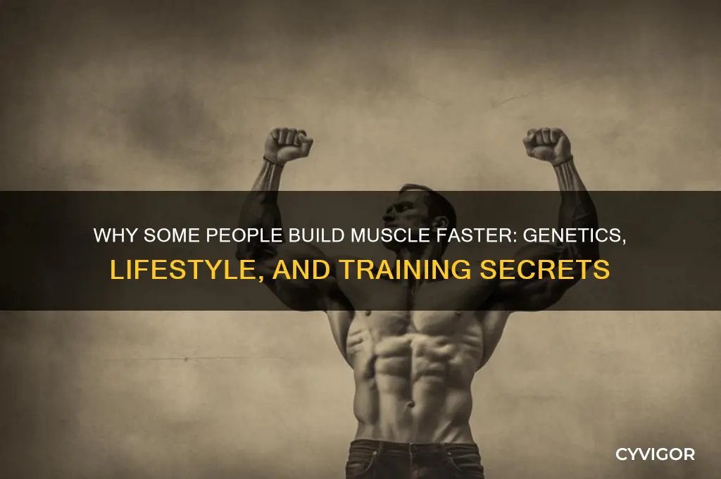 Why Some People Build Muscle Faster: Genetics, Lifestyle, And Training ...
