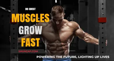 How Quickly Can You Build Bigger Chest Muscles? Facts Revealed