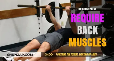 Engaging Your Back Muscles: A Must for Effective Chest Press?