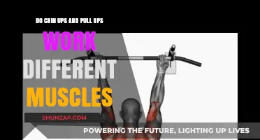 Chin Ups vs. Pull Ups: Which Muscles Do They Target Differently?