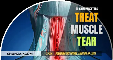 Chiropractors: Effective Treatment for Muscle Tears?