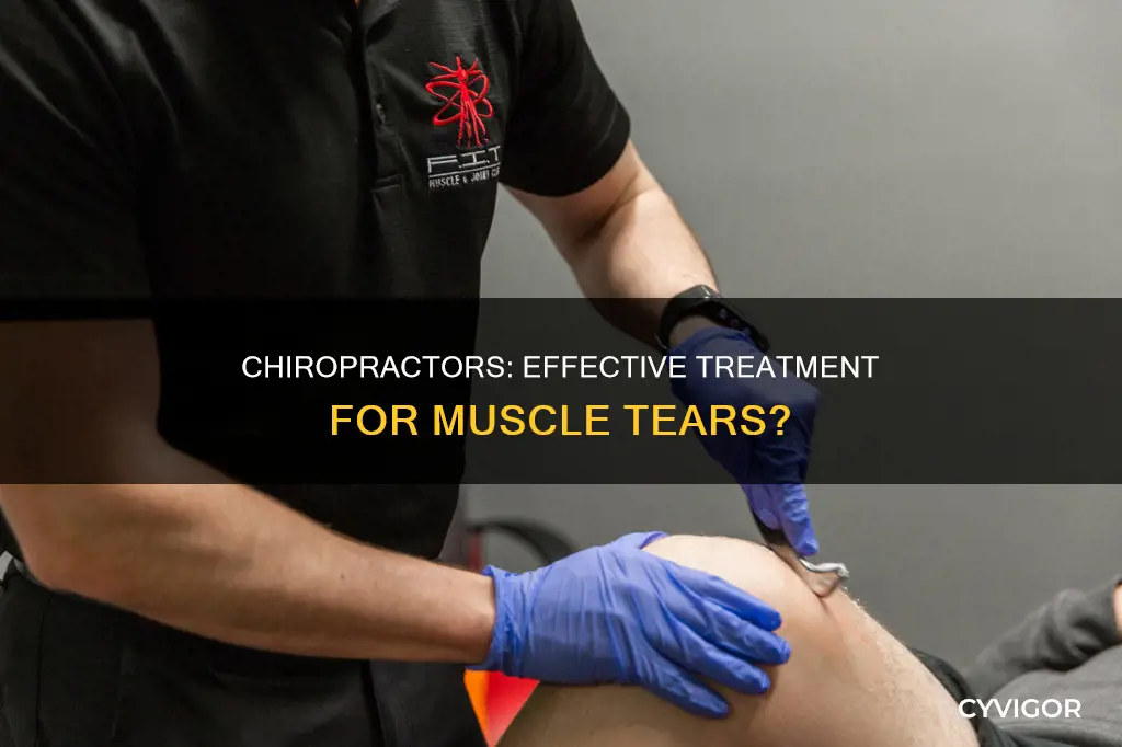 do chiropracctors treat muscle tear