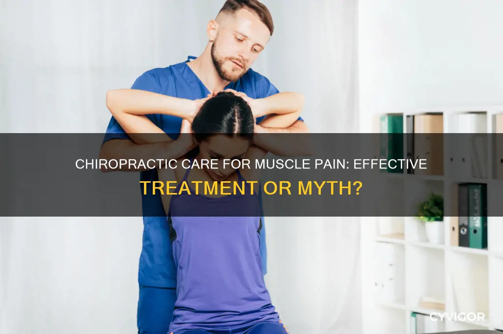 do chiropractors work on muscle pain