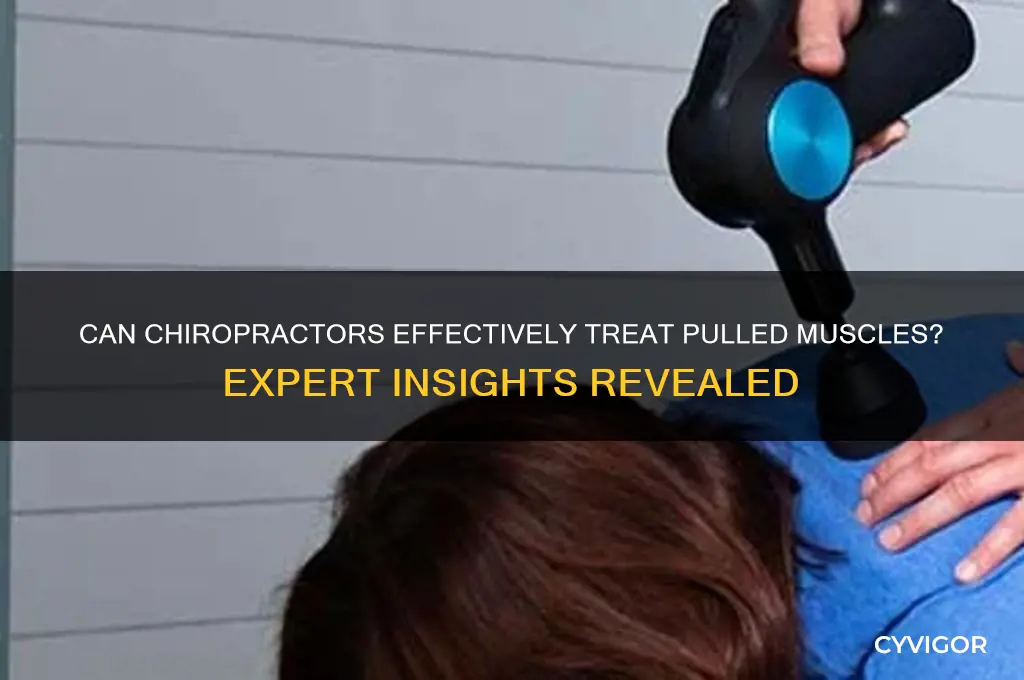 do chiropractors work on pulled muscles