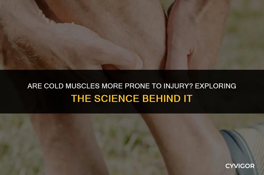 do cold muscles get hurt easier