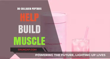 Unlocking Muscle Growth: The Power of Collagen Peptides Revealed