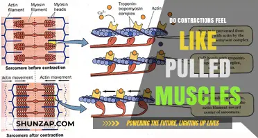 Contractions vs. Pulled Muscles: Unraveling the Pain Mystery