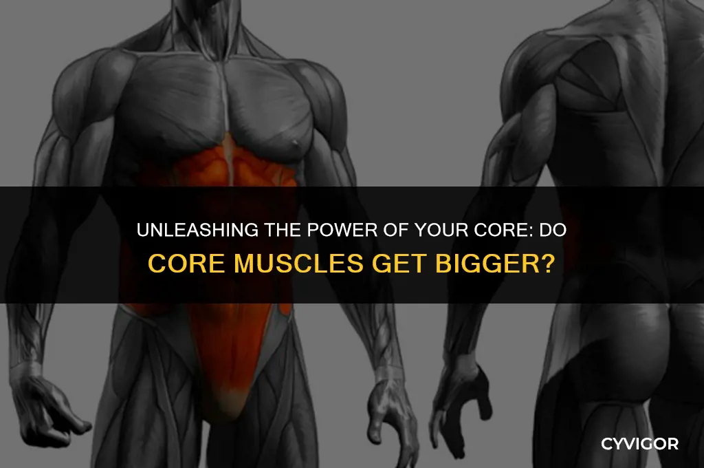 do core muscles get bigger
