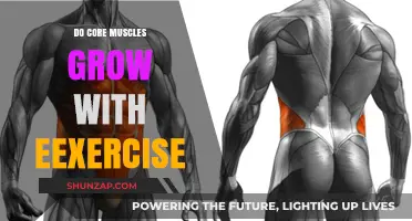 Can Core Muscles Grow Stronger Through Targeted Exercise Routines?