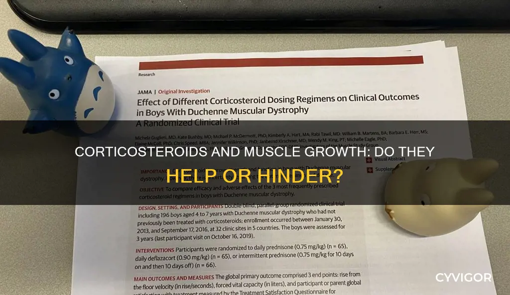 do corticosteroids cause muscle growth