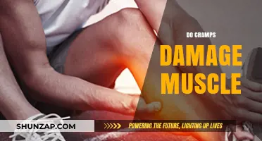 Cramps and Muscle Health: Separating Fact from Fiction