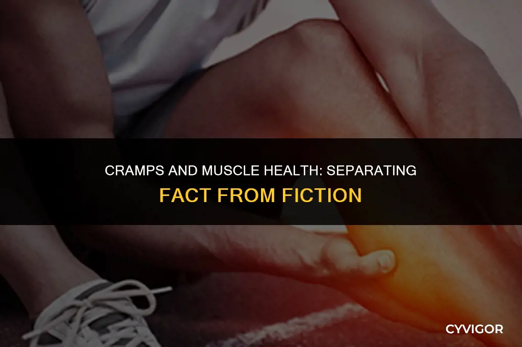 do cramps damage muscle