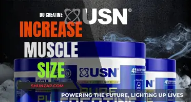 Creatine's Impact: Muscle Size and Strength