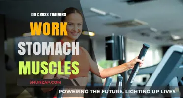 Cross Trainers and Core Strength: Do They Tone Your Stomach?