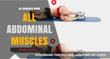 Crunches and Core: Targeting All Abdominal Muscles Effectively